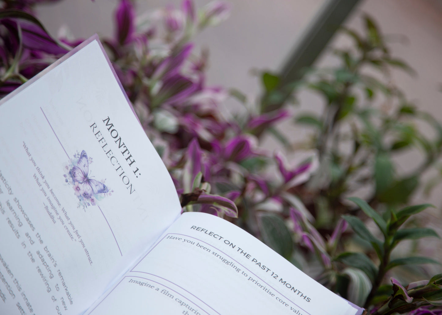 Mindful Intentions Journal