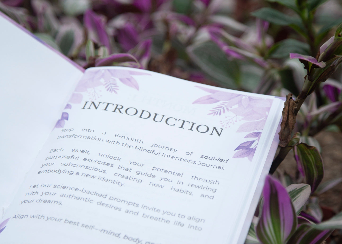 Mindful Intentions Journal